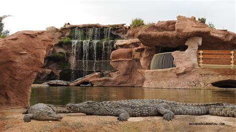 Excursion unique et enrichissante au Crocoparc d'Agadir